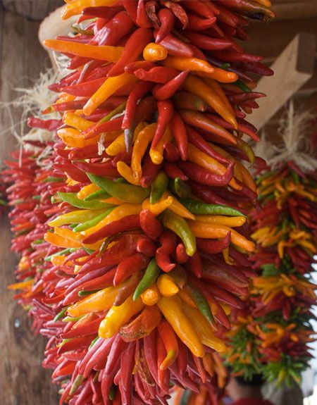 Hvordan tørrer man chili? Chilier kan holde meget længe når de er tørret, så læs denne guide om hvordan man gør Drying Chillies, Drying Chili Peppers, Dry Chili Peppers, Drying Plants, Preserving Peppers, Hot Pepper Recipes, Chili Pepper Recipes, Chilli Plant, Dried Chili Peppers