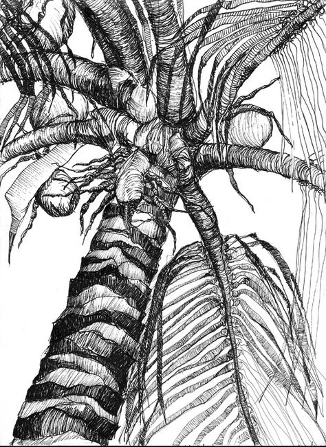 The Night Shift: Another Take on a Palm Tree Palm Tree Sketch, Plants Drawings, Palm Tree Drawing, Tree Drawings, Roses Plants, Coconuts Beach, Pencil Drawing Tutorials, Tree Sketches, Texture Drawing