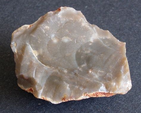 http://geology.about.com/od/rocks/ig/sedrockindex/rocpicchert.htm Rock Identification Pictures, Geology Rocks Mineral, Tiny Shells, Rock Identification, Rock Tumbling, Geode Rocks, Rock Hunting, Geology Rocks, Rock Types