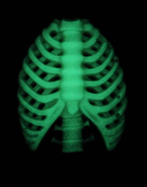 Ribcage skeleton Halloween needle minder glow in the dark - needleminder pinminder needlecraft accessory by UnconventionalX on Etsy Ribcage Skeleton, Projector Photography, Skeleton Halloween, Tumblr Photography, Needle Minders, Halloween Skeletons, Modern Cross Stitch, Modern Pattern, Photography Inspo