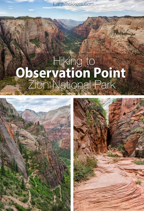 Observation Point is one of the best hikes to do in Zion National Park. It's a challenge...8 miles long with lots of climbing, but your reward is an awesome view over the park. Learn what to expect on the trail and how to combine this with another great hike, Hidden Canyon. Observation Point | Zion National Park | Hiking | Adventure | Family Adventure Travel | Earth Trekkers Zion Hikes, Angels Landing Zion National Park, Angels Landing Zion, Utah Vacation, Utah Road Trip, Zion National Park Utah, Angels Landing, Utah Hikes, St George Utah