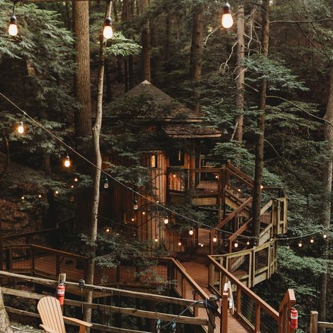 Treehouse Elopement 🌿 Treehouse Wedding Venues, Tree House Wedding Ideas, Treehouse Wedding, Christmas Challenge, Twelve Days Of Christmas, Tree House, Wedding Inspo, Wedding Venue, Elopement