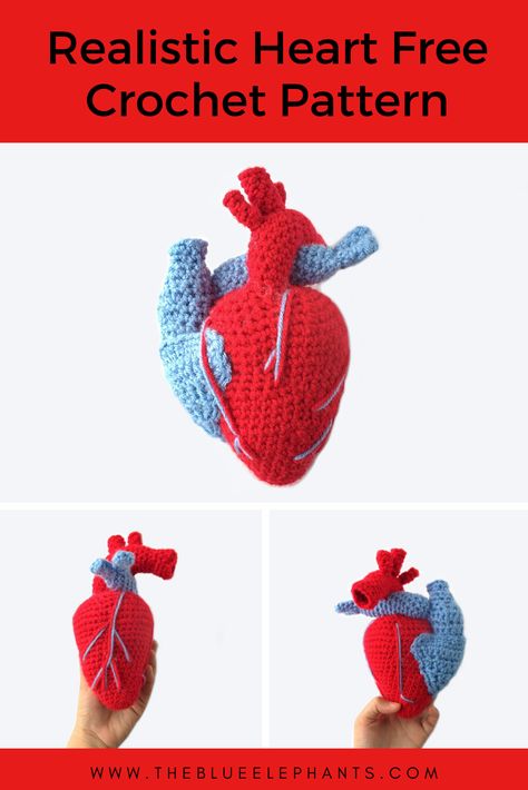 Learn how to make realistic hearts with this crochet heart pattern! This pattern is a great introduction to making plushies because of the simple shapes ! Realistic Heart, Crochet Heart Blanket, Realistic Crochet, Quick Crochet Gifts, Crocheted Heart, Heart Anatomy, Crochet Heart Pattern, Pola Amigurumi, Crochet Amigurumi Patterns