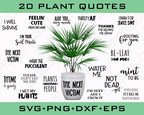 Plant Quotes, I Wet My Plants, Funny Gardening, Witty Sayings, Gardening Humor, Plants Quotes, Help Me Grow, Witty Quotes, Mug Printing