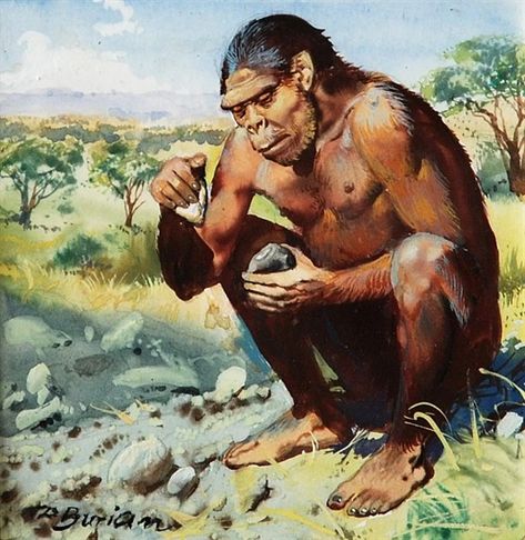 Artwork by Zdeněk Burian, Homo Habilis Making Stone Tools, Made of gouache, paper Rudyard Kipling Jungle Book, Jungle Book Characters, Homo Habilis, Funny Animal Images, Prehistoric Man, Stone Tools, Prehistoric World, Early Humans, Prehistoric Art