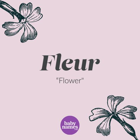 Today’s #babyname inspo: Fleur! Fleur is a French name meaning "Flower". It's currently not ranked on the BabyNames.com popularity charts or US births. #BabyNames #Names #Fleur #Flower #NatureNames #Pregnant #Pregnancy #BabyNameIdeas Flower Names Aesthetic, French Names Female Aesthetic, French Names With Meaning, French Names Female, Flora Name, Pipe Flower, Spn Dr, Soft Drinks Recipes, French Name