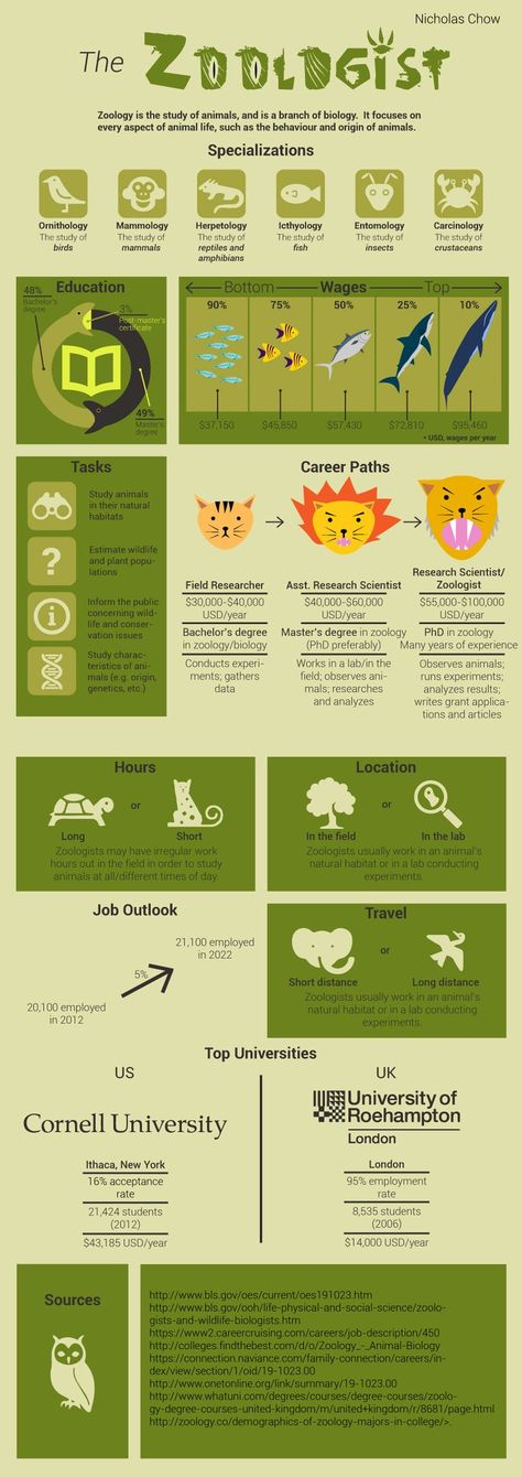 Wildlife Biologist Aesthetic Wallpaper, Wildlife Biologist Career, Conservation Branding, Zoologist Career, Zoology Career, Wildlife Vet, Wildlife Biology, Veterinary Science, Career Pathways