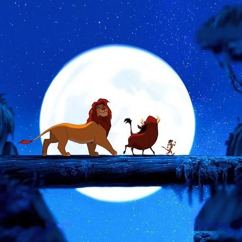 Hakuna Matata Lion King Photo, Lion King Photos, Howard Stark, Lion King Timon, Young Simba, Lion King 1, Lion King Hakuna Matata, Lion King Pictures, Lion King 2