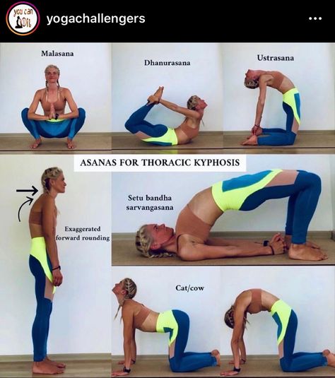 Yoga Shala, Practicing Gratitude, Yoga Philosophy, Body Workout Plan, Restorative Yoga, Posture Correction, Yoga Postures, Yoga Asanas, Abdominal Muscles