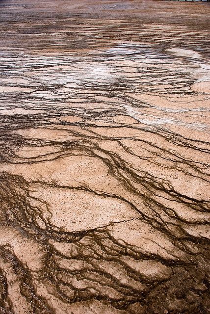 Natural Cracked Textures Africa Nature, Earth Texture, Texture Inspiration, Image Nature, Organic Pattern, Earth Elements, Natural Forms, Surface Textures, Patterns In Nature