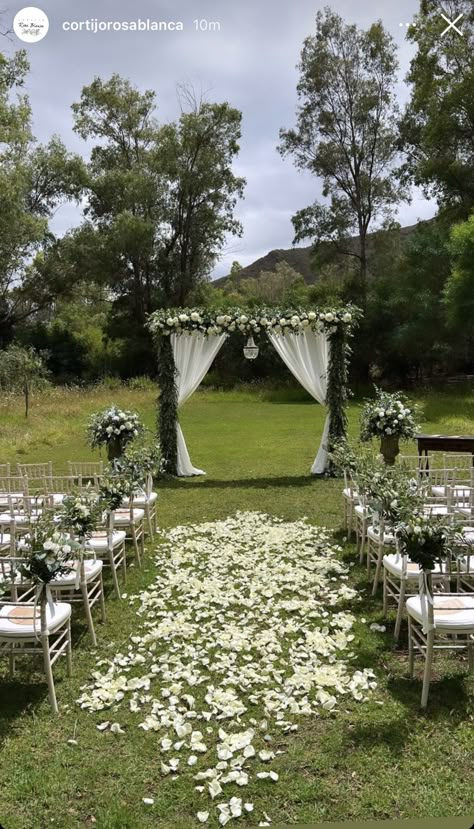 Small Backyard Wedding Ceremony At Home, Outside Wedding Decor Ideas, Outside Wedding Seating, Small Intimate Wedding Ideas Backyards Simple, Civil Wedding Decoration Simple, Simple Backyard Wedding Ideas, Wedding In Backyard, Garden Arch Wedding, Outside Wedding Ceremony