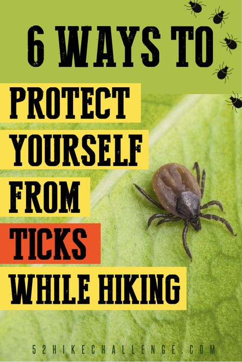 Best Insect Repellent, Hiking Places, Hiking Food, Hiking Training, Hiking Workout, Family Hiking, Yellow Fever, Hiking Essentials, Hiking Destinations