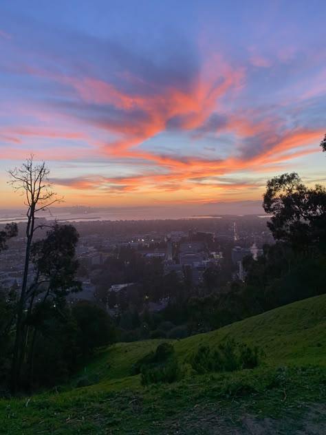 Berkeley California Aesthetic, Berkeley University Aesthetic, Berkeley Aesthetic, Uc Berkeley Aesthetic, Berkeley University, Berkeley California, Camp Jupiter, College Aesthetic, Dream School