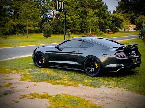 Mustang Gt 2015, Mustang Build, Sports Cars Mustang, 2015 Mustang Gt, Ford Mustang Wallpaper, Mustang Gt350, Mustang Wheels, S550 Mustang, Ford Mustang Car