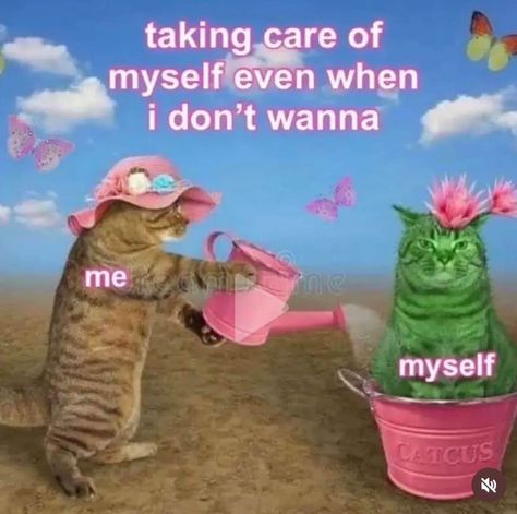 Ovulation Aesthetic, Happy Mood Aesthetic, Wellness Memes, Wise Aesthetic, Humor Aesthetic, Friday Aesthetic, Healing Aesthetic, Positive Aesthetic, Taking Care Of Myself