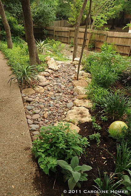 Shady Gardens, Backyard Gardens, Dry Creek Bed, Pathway Landscaping, Path Ideas, Creek Bed, Tropical Gardens, Rock Garden Landscaping, Fence Landscaping