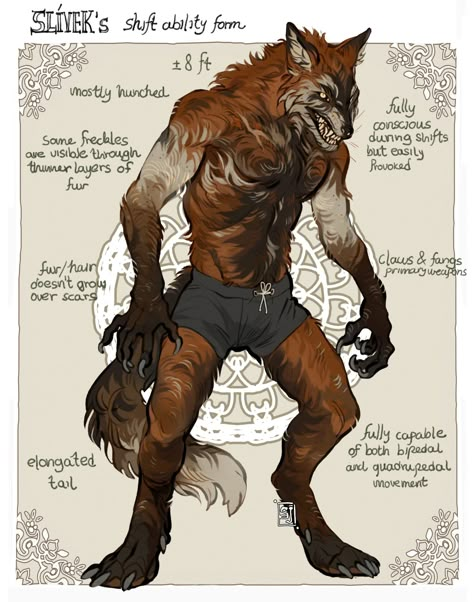 How To Draw Werewolves, Bone Character Design, Werewolf Oc Character Design, Dnd Werewolf Character, Werewolf Character Art, Drawing Werewolves, Werecat Oc, Werewolf Drawing Reference, Werewolf Rpg