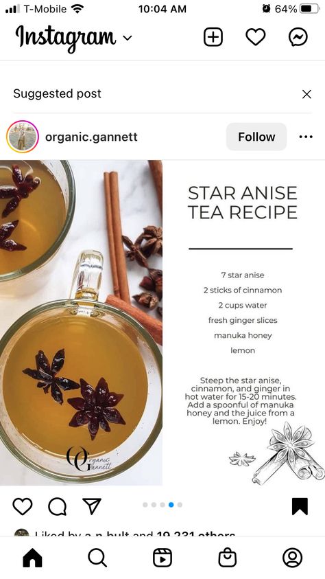 Anise Benefits Teas, Star Anise Tea Benefits, Star Anise Tea Recipes, Anise Tea Benefits, Star Anise Benefits, Sick Tips, Anise Tea, Star Anise Tea, Tea Recipes Loose Leaf