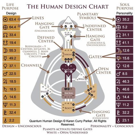 Human Design Chart, Planetary Symbols, What Is Human, Human Design System, Love Astrology, Souls Journey, Learning Styles, Design Research, Energy Work