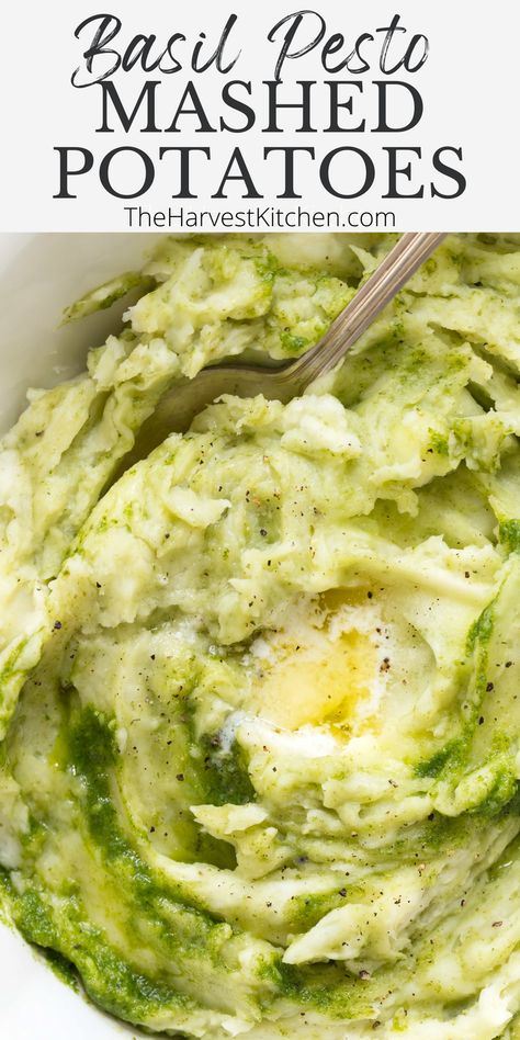 The Best Mashed Potatoes, Homemade Basil Pesto, Classic Mashed Potatoes, Harvest Kitchen, Best Mashed Potatoes, Mashed Potatoes Recipe, Mash Recipe, Mashed Potato Recipes, Homemade Pesto