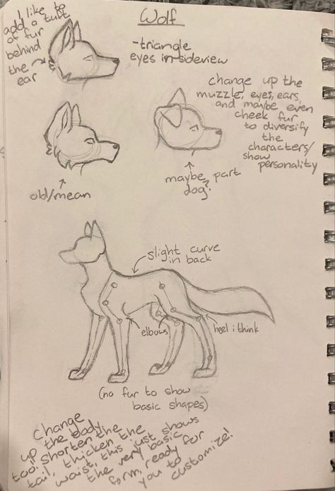 Wolf Body Base, How To Draw Wolfs, Wolf Body Reference, Wolf Body Drawing, Fox Base Drawing, Animal Body Drawing, Therian Drawing Base Human, How To Draw Wolves, Dog Art Reference