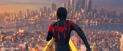 Miles Morals, The Spider, Amazing Spider, Spider Verse, The Rise, Spiderman, Gif