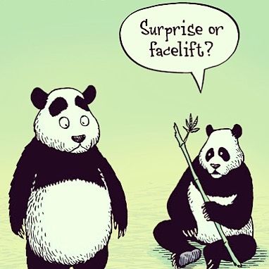 #HappyHumpDay #PlasticSurgeryHumor #Facelift #Nashville #PlasticSurgeon #PandaBears 😂🐼 Surgery Humor, Silicone Implants, Excess Skin, Mommy Makeover, Surgery Center, Saggy Skin, Say Bye, Breast Lift, Cosmetic Procedures