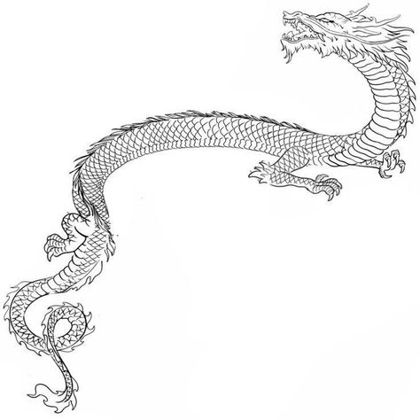 Dragon Tattoo Horizontal, Wrap Around Arm Tattoo Stencil, Basic Dragon Tattoo, Dragon Tattoo Wrapped Around Arm Stencil, Dragon Around Arm Tattoo, Chinese Dragon Outline, Wrap Around Dragon Tattoo, Dragon Wrapped Around Arm Tattoo, Dragon Tattoo Around Arm