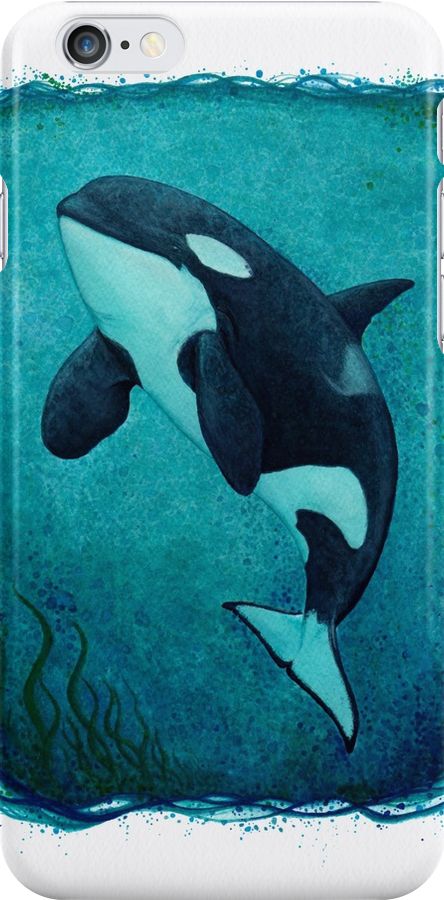 Iphone Case • "The Matriarch" Watercolor art of southern resident killer whale / orca J2 "Granny" by wildlife artist Amber Marine. ••• AmberMarineArt.com © ••• Orca Watercolor, Orca Art, Whale Drawing, Whale Painting, Marine Wildlife, Dolphin Art, Whale Tattoos, Whale Art, Orca Whales