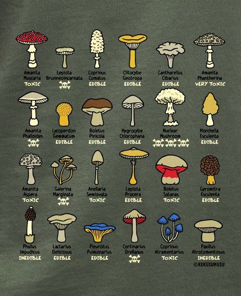 Growing Mushrooms At Home, Mushroom Identification, Mushroom Plant, Arte Monster High, Survival Skills Life Hacks, Magic Herbs, Herbal Magic, Mushroom Fungi, Herbs For Health