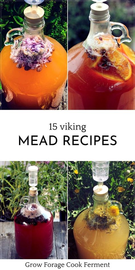 Mead Recipe 1 Gallon, Mead Wine Recipes, Raw Honey Recipes, Make Mead, Making Mead, Recipes With Honey, Mead Recipes, Preserve Fruit, Alcoholic Drinks Recipes