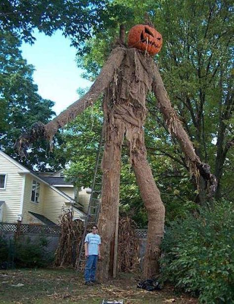 13 Halloween Decorations That Got Way Too Real Cheap Diy Halloween, Cheap Halloween Diy, Diy Halloween Dekoration, Scary Scarecrow, Haunted Trail, Diy Scarecrow, Cheap Diy Halloween Decorations, Scary Halloween Decorations Outdoor, Photo Halloween