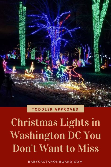 Washington Dc Family Vacation, Best Outdoor Christmas Lights, Christmas In Dc, Washington Christmas, Washington Dc Christmas, Christmas Lights House, Dc Christmas, Christmas Towns, Christmas Lights Outside