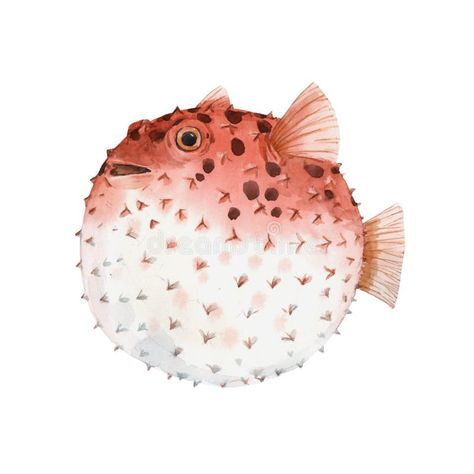 Puffer Fish Art, Hedgehog Watercolor, Watercolor Hedgehog, Surrealism Fashion, Sea Nursery, Watercolor Vector, Fish Stock, Puffer Fish, Cute Watercolor