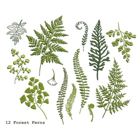 12 Fern Branches for Machine Embroidery Design Botanical Wedding Branch Pattern Instant Download Zip 6 Sizes - Etsy Irish Embroidery Designs, Leo Clothes, Hare Images, Embroidery Plants, Fern Embroidery, Woodland Embroidery, Wedding Branches, Botanical Embroidery, Fern Pattern