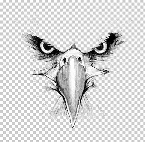 Eagle Beak Drawing, Hawk Face Tattoo, Black And White Eagle Tattoo, Eagle Face Drawing, Eagle Tattoo Girl, Eagle Drawing Sketches, Flying Eagle Drawing, Eagle Flying Drawing, Eagle Face Tattoo