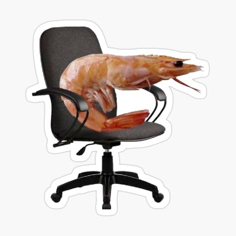 Funny Decor, Delicate Features, A Meme, Eames Lounge Chair, Gaming Chair, Desk Chair, Chair Design, Funny Stickers, Seat Cushions