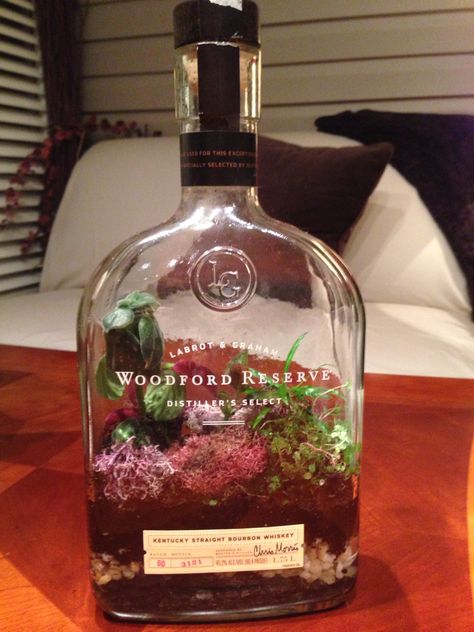 Turning a used whiskey bottle into a terrarium. Glass Bottle Terrarium Diy, Tequila Bottle Terrarium, Liquor Bottle Terrarium, Whiskey Bottle Terrarium, Wine Bottle Terrarium, Whiskey Bottle Crafts, Terrarium Bottle, Diy Whiskey, Bottles Craft