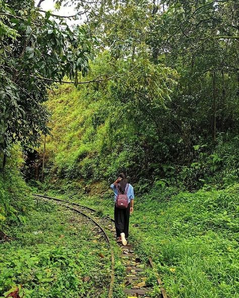 Poses In Greenery, Coorg Photography, Coorg Travel, Backpacking Destinations, Travel Outfits, Hill Station, Beautiful Places To Travel, Incredible India, Vacation Outfits