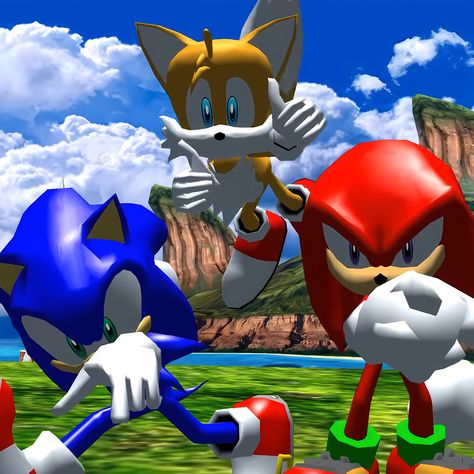 Pfp Sonic, Sonic Adventure 2, Sonic & Knuckles, 2013 Swag Era, Duos Icons, Kingdom Hearts Art, Sonic Heroes, Sonic Adventure, Sonic And Shadow