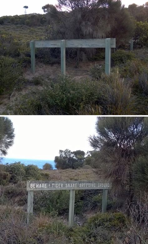 Walked Up On The Back Of This Sign While Hiking In Australia... Meanwhile In Australia, Places In Australia, Australia Pictures, Saltwater Crocodile, Scary Animals, Hidden Places, Jurassic World, A Sign, Funny Signs