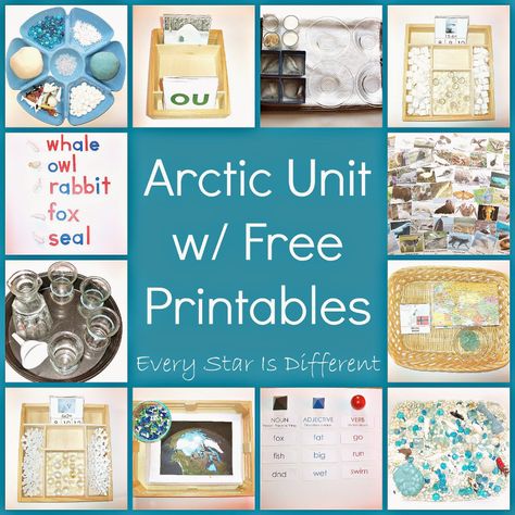 Tundra Biome, Free Printables For Kids, Montessori Geography, Montessori Printables, Winter Unit, The Continents, Snow Theme, Polar Animals, 7 Continents