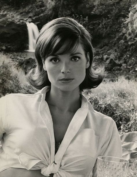 Elsa Images, Elsa Martinelli, Italian Actress, Rita Hayworth, Vintage Pinup, Hollywood Glamour, Vintage Beauty, Classic Hollywood, Warner Bros