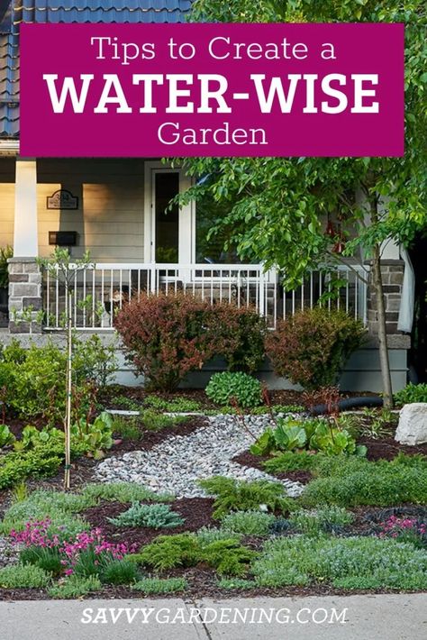 Tips to Create a Water-Wise garden Vegetables Growing, Water Wise Landscaping, How To Garden, Landscape Gardening, Aquaponic Gardening, Waterwise Garden, Herb Gardening, Backyard Gardening, Garden Insects