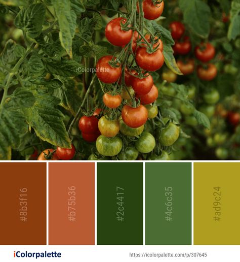 Color Palette ideas #icolorpalette #colors #inspiration #graphics #design #inspiration #beautiful #colorpalette #palettes #idea #color #colorful #colorscheme #colorinspiration #colorcombinations #colorcombos Vegetables Color Palette, Vegetable Colour Palette, Salad Color Palette, Tomato Color Palette, Vegetable Color Palette, Food Colour Palette, Fruit Color Palette, Food Color Palette, Cottagecore Color Palette