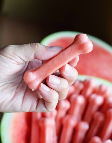 Watermelon Dog, Frozen Watermelon, Food Dog, Diy Dog Treats, Puppy Treats, Dog Bones, Dog Treat Recipes, Dog Recipes, Pet Hacks