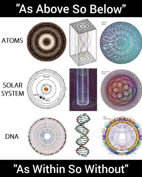 Mental Universe on Instagram: “The Law of Energy, Vibration, Frequency & Cycles operate in All Dimensions of the Universe, from Micro to Macro. ㅤ More content in the Link…” Geometry Symbols, Sacred Science, Sacred Geometry Symbols, Sacred Geometry Art, As Above So Below, Spirit Science, Geometry Art, Ancient Knowledge, Golden Ratio