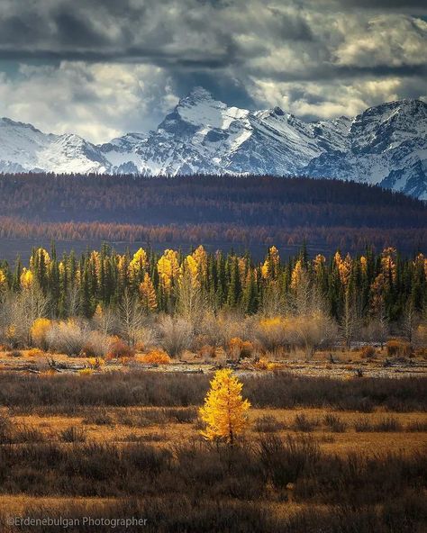 Hike | Wilderness | Adventure on Instagram: “Mind-blowing collection of Mongolia. Is Mongolia on your bucket list? 🇲🇳 . Follow @naturefandom 🙌 Follow @naturefandom 🙌 Follow…” Beautiful Autumn, Evergreen Trees, Water Views, Autumn Photography, Mongolia, Countries Of The World, Nature Scenes, Mind Blowing, Asia Travel