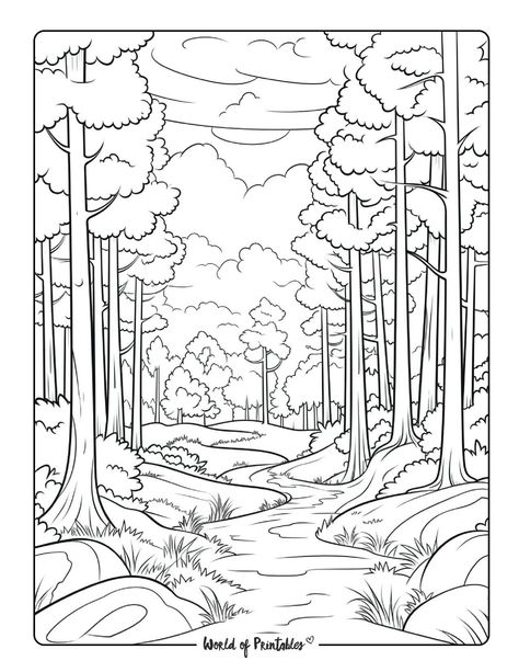 Forest Colouring Page, Tree Drawing For Kids, Nature Coloring Pages, Fantasy Embroidery, Landscape Coloring Pages, River Illustration, Tree Drawing Simple, Forest Coloring Pages, Printable Coloring Pages For Adults