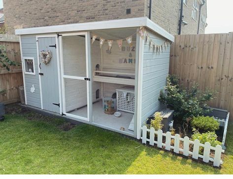 Rabbit Hutches Outdoor, Bunny Sheds Outdoor, Bunny Shed Ideas, Outside Rabbit Enclosure, Outdoor Bunny Enclosure, Rabbit Shed Ideas, Bunny House Outdoor, Outdoor Bunny Habitat, Rabbit Hutch Ideas